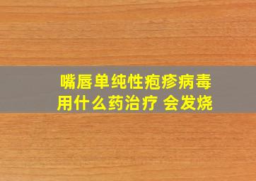 嘴唇单纯性疱疹病毒用什么药治疗 会发烧